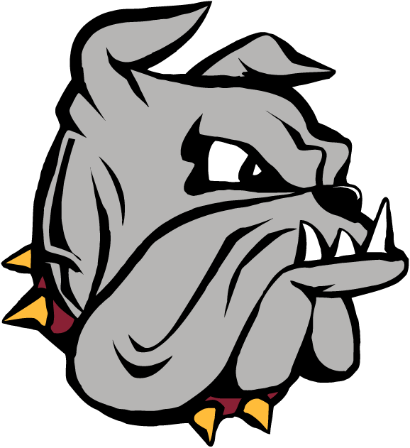 Minnesota-Duluth Bulldogs 1996-Pres Primary Logo t shirts DIY iron ons
